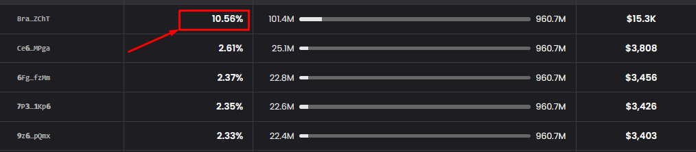 crypto slang terms TOP HOLDERS