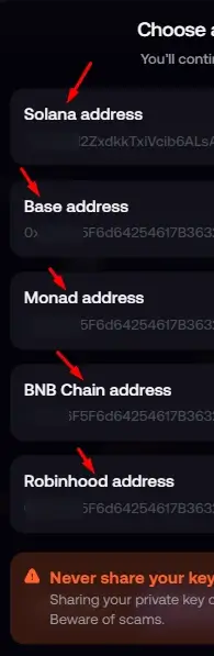 export key on fomo app