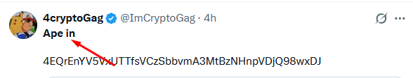 memecoin glossary APE IN