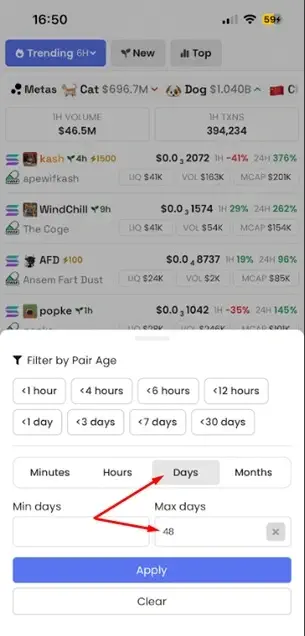 check memecoin top holders
